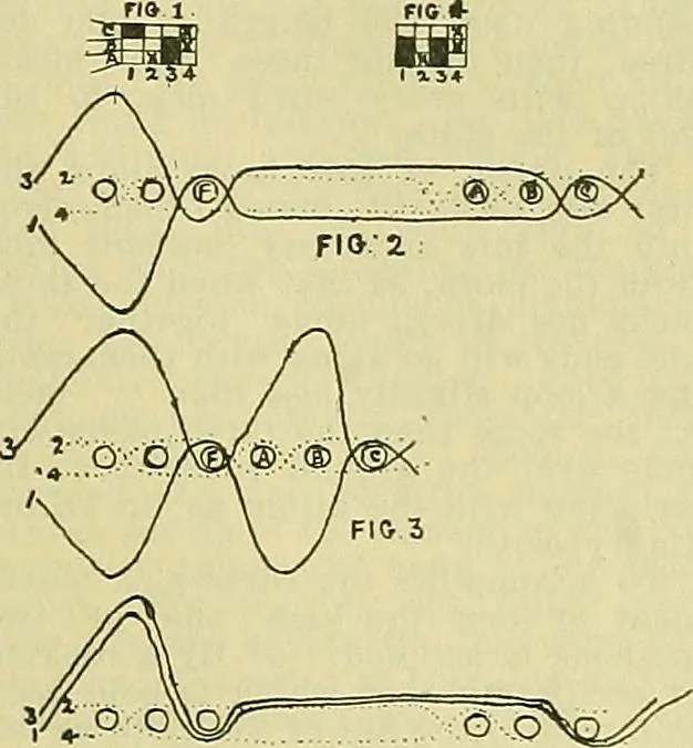 An illustration from A cotton fabrics glossary; containing instructions for the manufacture of every known grade and variety of cotton fabrics .., 1907, leaf 175