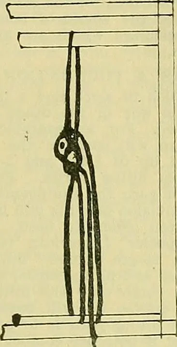 An illustration from A cotton fabrics glossary; containing instructions for the manufacture of every known grade and variety of cotton fabrics .., 1907, leaf 205