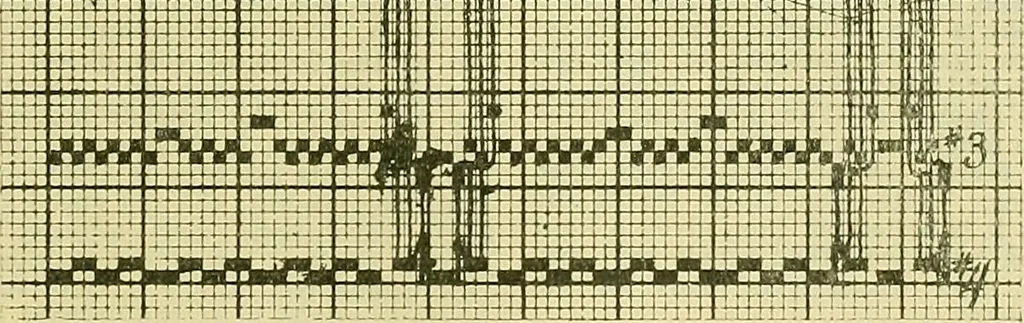 An illustration from A cotton fabrics glossary; containing instructions for the manufacture of every known grade and variety of cotton fabrics .., 1907, leaf 205