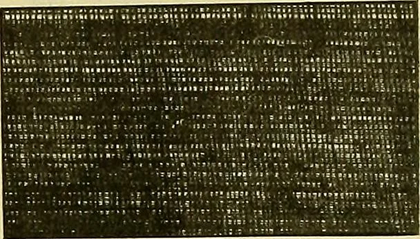 An illustration from A cotton fabrics glossary; containing instructions for the manufacture of every known grade and variety of cotton fabrics .., 1907, leaf 23