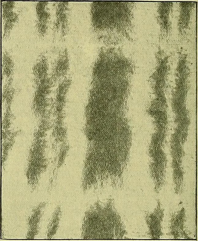 An illustration from A cotton fabrics glossary; containing instructions for the manufacture of every known grade and variety of cotton fabrics .., 1907, leaf 238