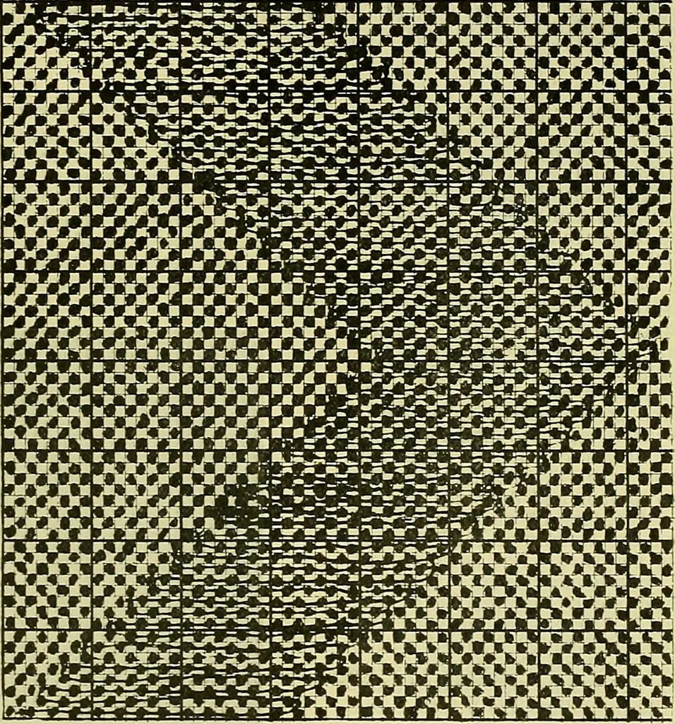 An illustration from A cotton fabrics glossary; containing instructions for the manufacture of every known grade and variety of cotton fabrics .., 1907, leaf 257