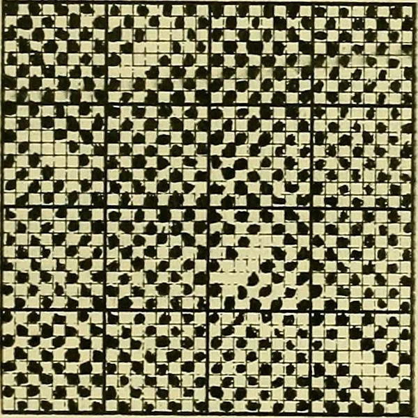 An illustration from A cotton fabrics glossary; containing instructions for the manufacture of every known grade and variety of cotton fabrics .., 1907, leaf 285