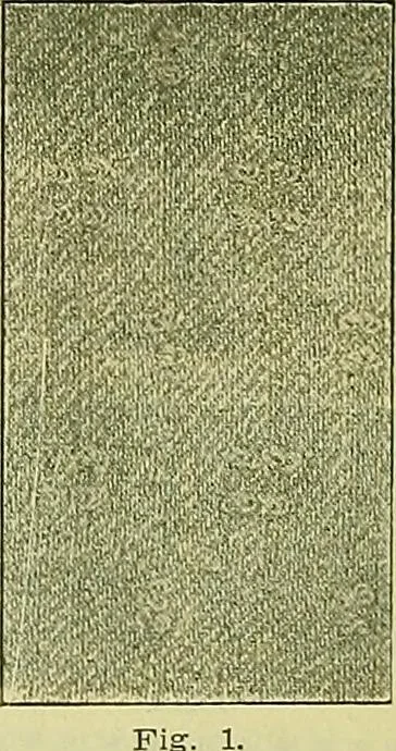 An illustration from A cotton fabrics glossary; containing instructions for the manufacture of every known grade and variety of cotton fabrics .., 1907, leaf 304