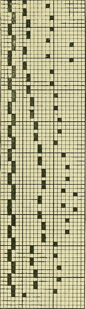 An illustration from A cotton fabrics glossary; containing instructions for the manufacture of every known grade and variety of cotton fabrics .., 1907, leaf 91