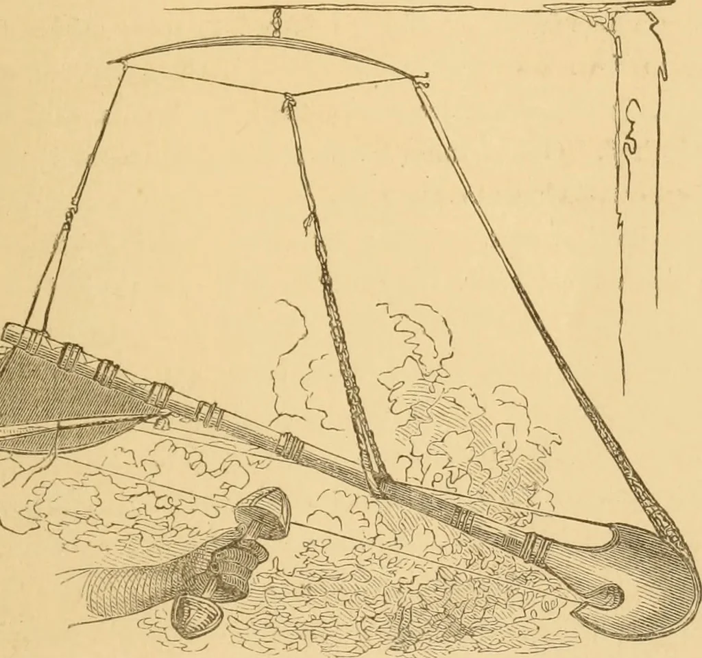 An illustration from Cotton from seed to loom, 1878, leaf 34