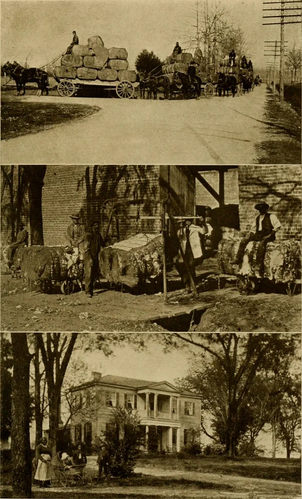An illustration from Cotton, its cultivation, marketing, manufacture, and the problems of the cotton world, 1906, leaf 104