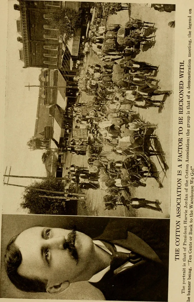 An illustration from Cotton, its cultivation, marketing, manufacture, and the problems of the cotton world, 1906, leaf 114