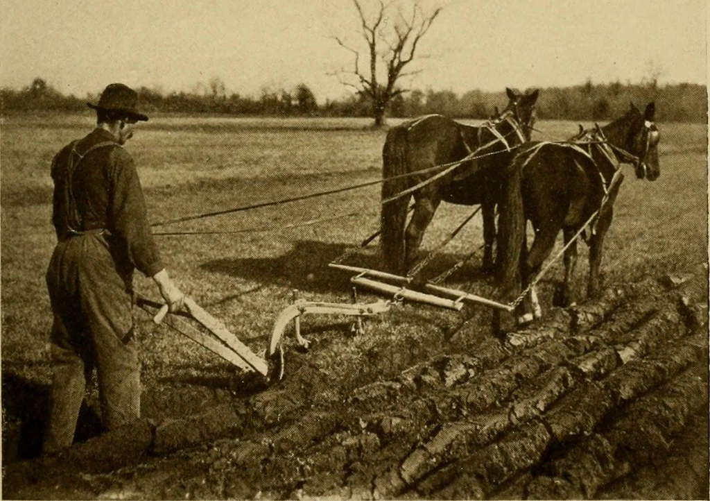 An illustration from Cotton, its cultivation, marketing, manufacture, and the problems of the cotton world, 1906, leaf 166