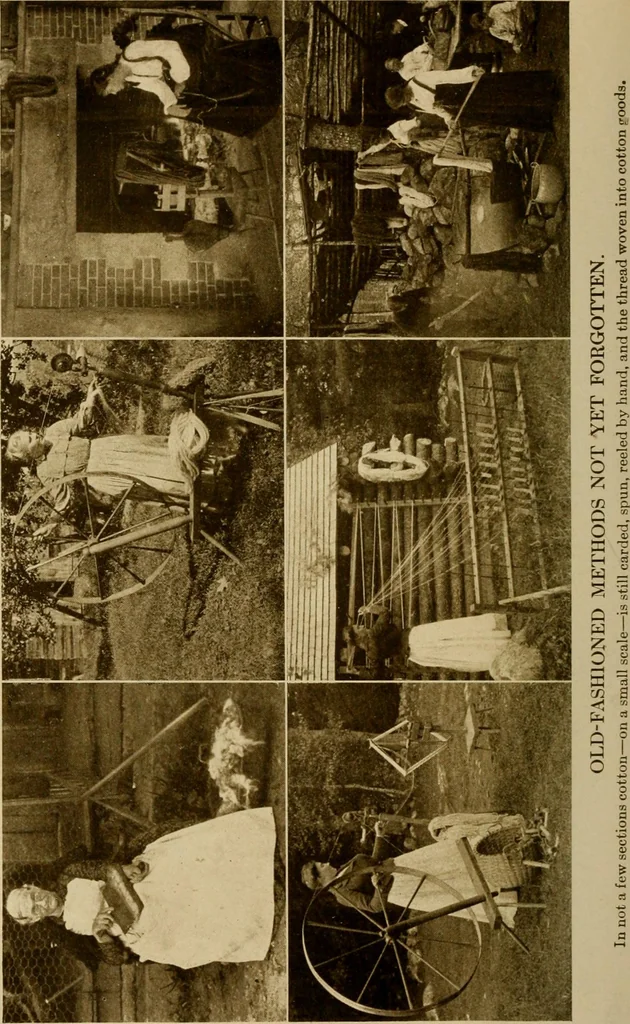 An illustration from Cotton, its cultivation, marketing, manufacture, and the problems of the cotton world, 1906, leaf 167