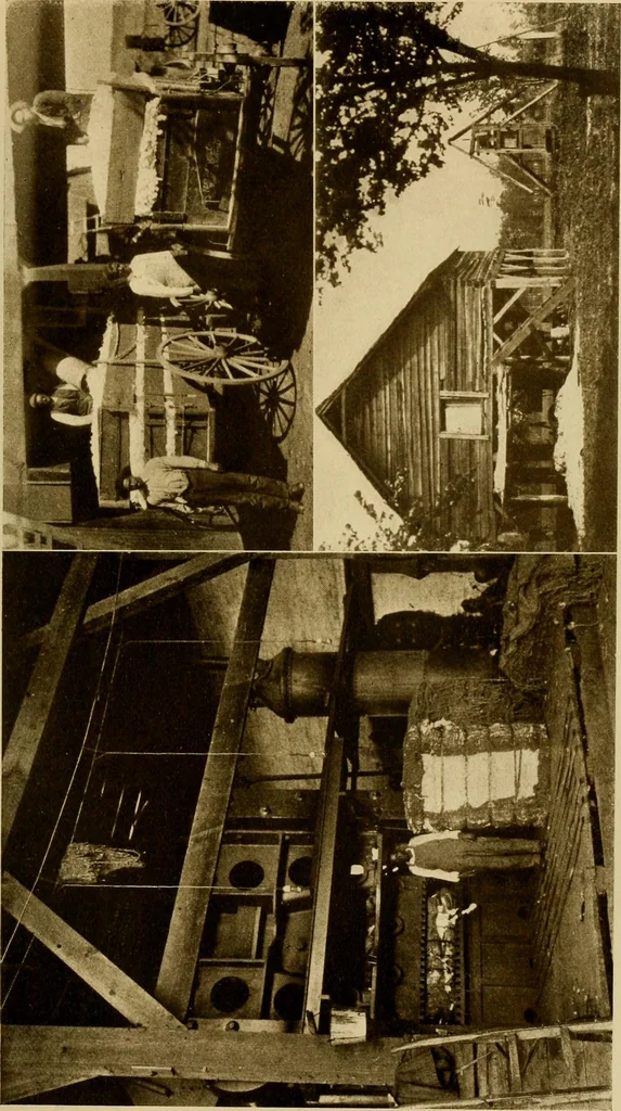An illustration from Cotton, its cultivation, marketing, manufacture, and the problems of the cotton world, 1906, leaf 270