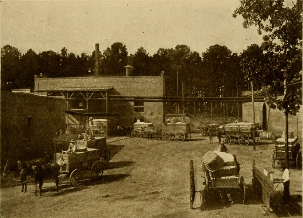 An illustration from Cotton, its cultivation, marketing, manufacture, and the problems of the cotton world, 1906, leaf 292