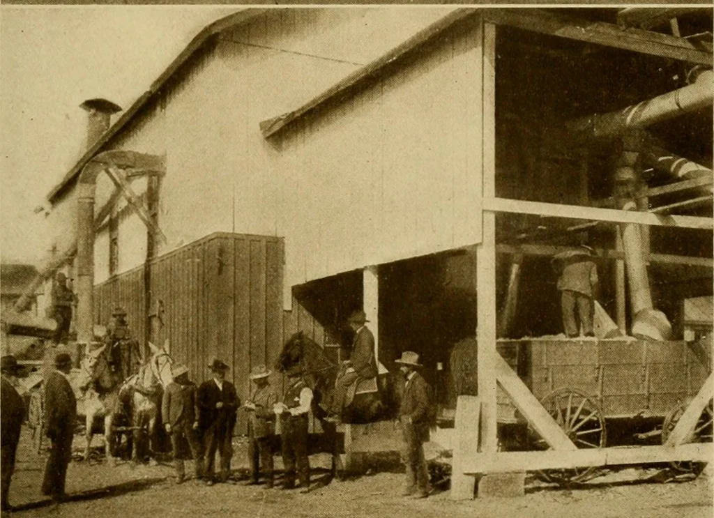 An illustration from Cotton, its cultivation, marketing, manufacture, and the problems of the cotton world, 1906, leaf 292
