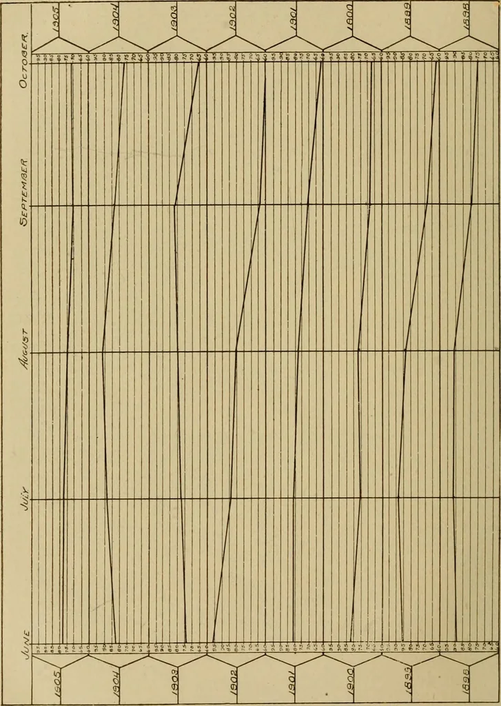 An illustration from Cotton, its cultivation, marketing, manufacture, and the problems of the cotton world, 1906, leaf 315