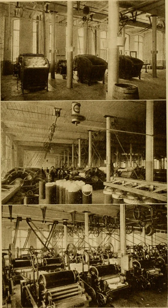An illustration from Cotton, its cultivation, marketing, manufacture, and the problems of the cotton world, 1906, leaf 388