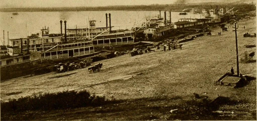 An illustration from Cotton, its cultivation, marketing, manufacture, and the problems of the cotton world, 1906, leaf 398