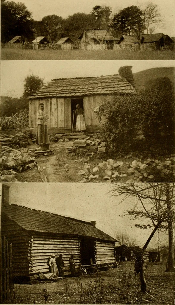 An illustration from Cotton, its cultivation, marketing, manufacture, and the problems of the cotton world, 1906, leaf 62