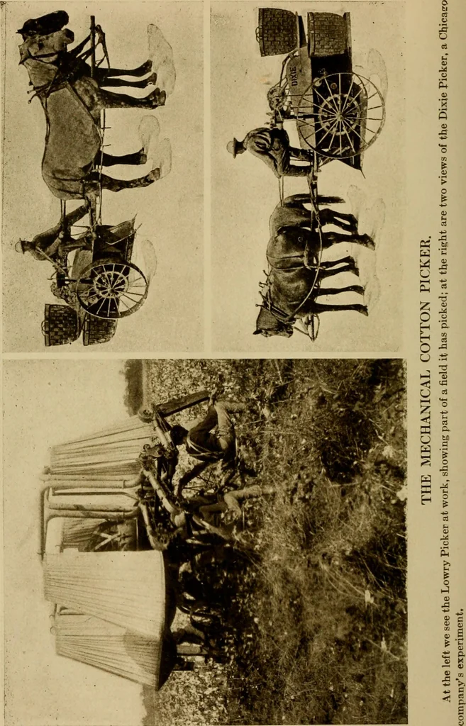 An illustration from Cotton, its cultivation, marketing, manufacture, and the problems of the cotton world, 1906, leaf 85