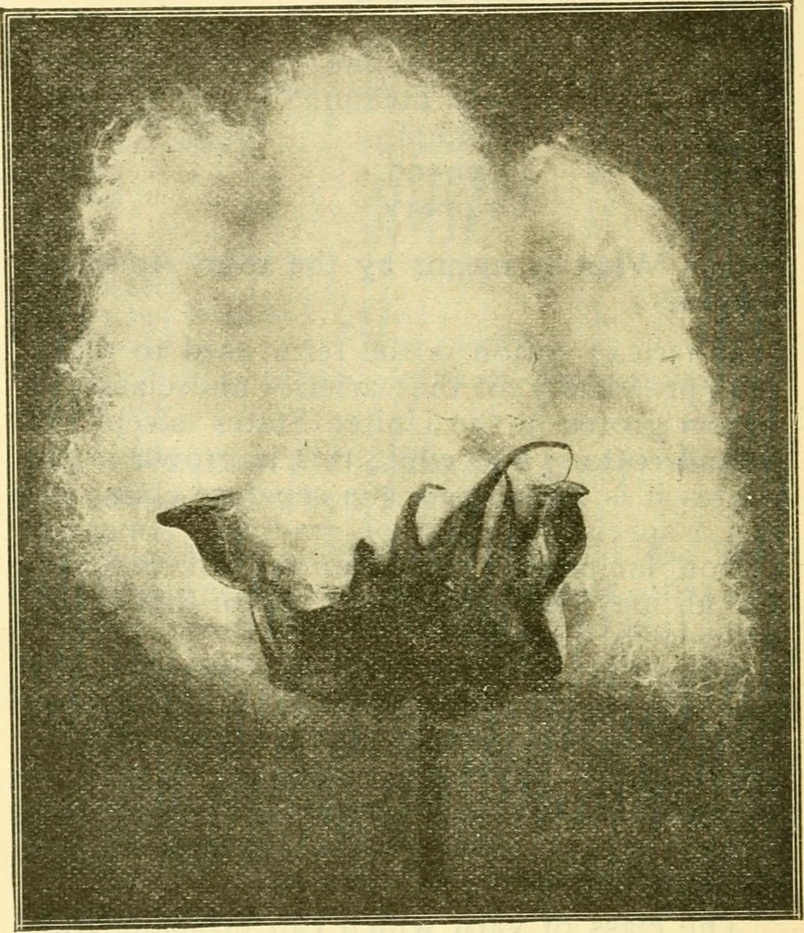 An illustration from A cotton manual for manufacturers and students, 1905, leaf 40