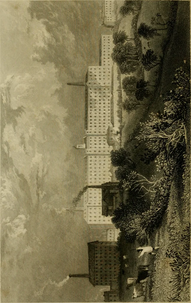An illustration from History of the cotton manufacture in Great Britain : with a notice of its early history in the East, and in all the quarters of the globe : a description of the great mechanical inventions, which have caused its unexampled extension in Britain, and a view of the present state of the manufacture and the condition of the classes engaged in its several departments, 1835, leaf 219