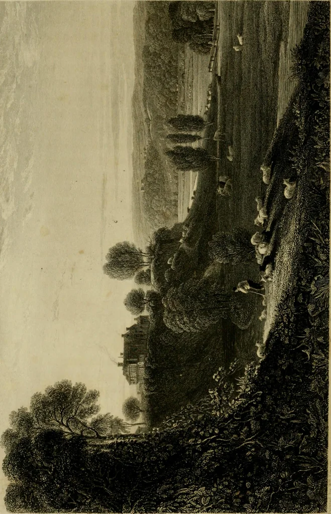 An illustration from History of the cotton manufacture in Great Britain : with a notice of its early history in the East, and in all the quarters of the globe : a description of the great mechanical inventions, which have caused its unexampled extension in Britain, and a view of the present state of the manufacture and the condition of the classes engaged in its several departments, 1835, leaf 235
