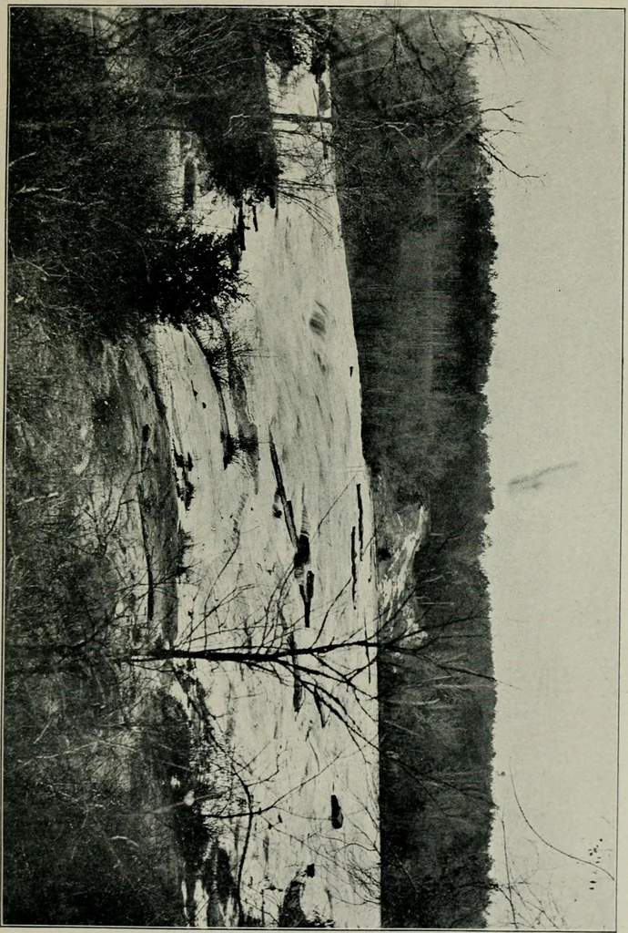 An illustration from Cotton mill, commercial features. A text-book for the use of textile schools and investors, 1899, leaf 216