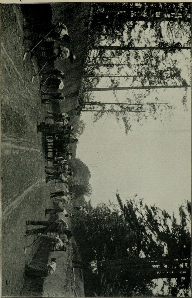 An illustration from Cotton mill, commercial features. A text-book for the use of textile schools and investors, 1899, leaf 254