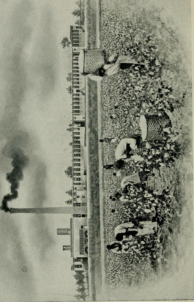 An illustration from Cotton mill, commercial features. A text-book for the use of textile schools and investors, 1899, leaf 281