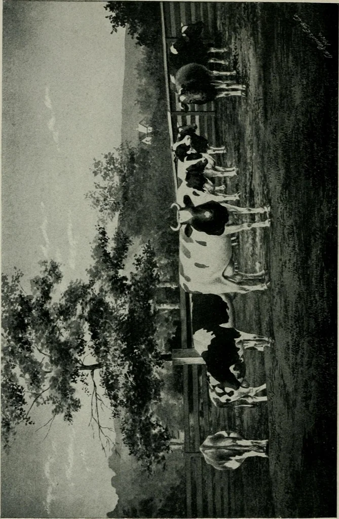 An illustration from Cotton mill, commercial features. A text-book for the use of textile schools and investors, 1899, leaf 285