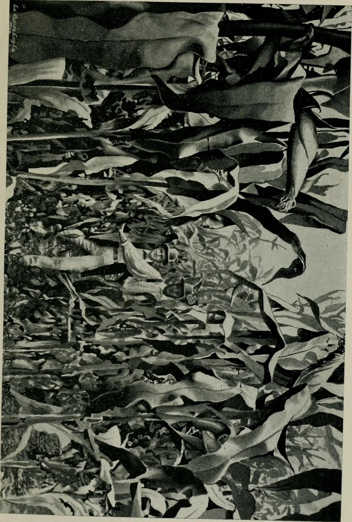 An illustration from Cotton mill, commercial features. A text-book for the use of textile schools and investors, 1899, leaf 292