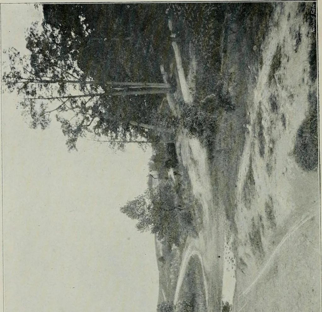 An illustration from Cotton mill, commercial features. A text-book for the use of textile schools and investors, 1899, leaf 45