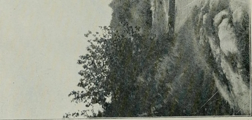 An illustration from Cotton mill, commercial features. A text-book for the use of textile schools and investors, 1899, leaf 45