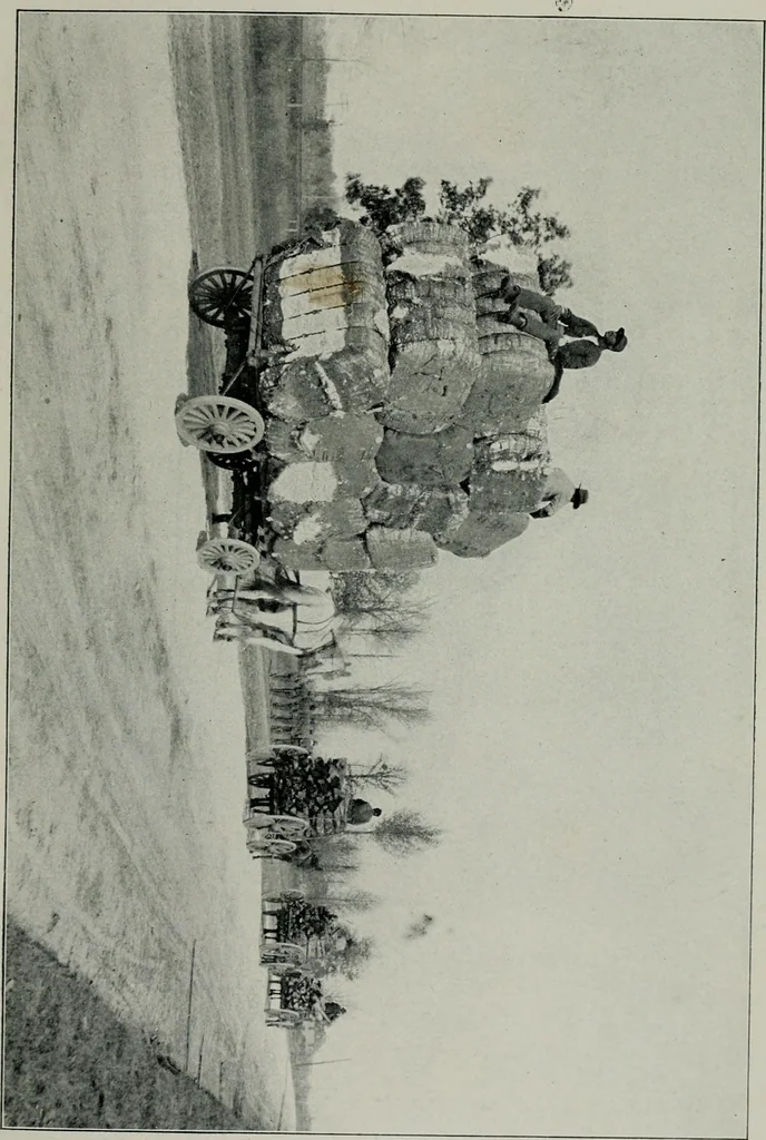 An illustration from Cotton mill, commercial features. A text-book for the use of textile schools and investors, 1899, leaf 46