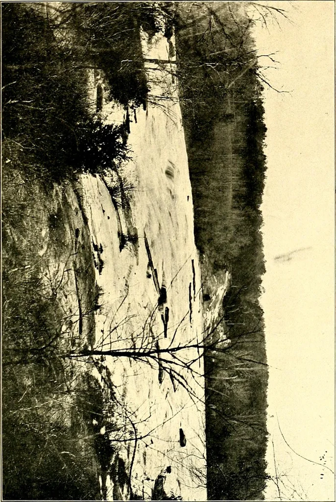 An illustration from Cotton mill, commercial features : a text-book for the use of textile schools and investors, 1899, leaf 218