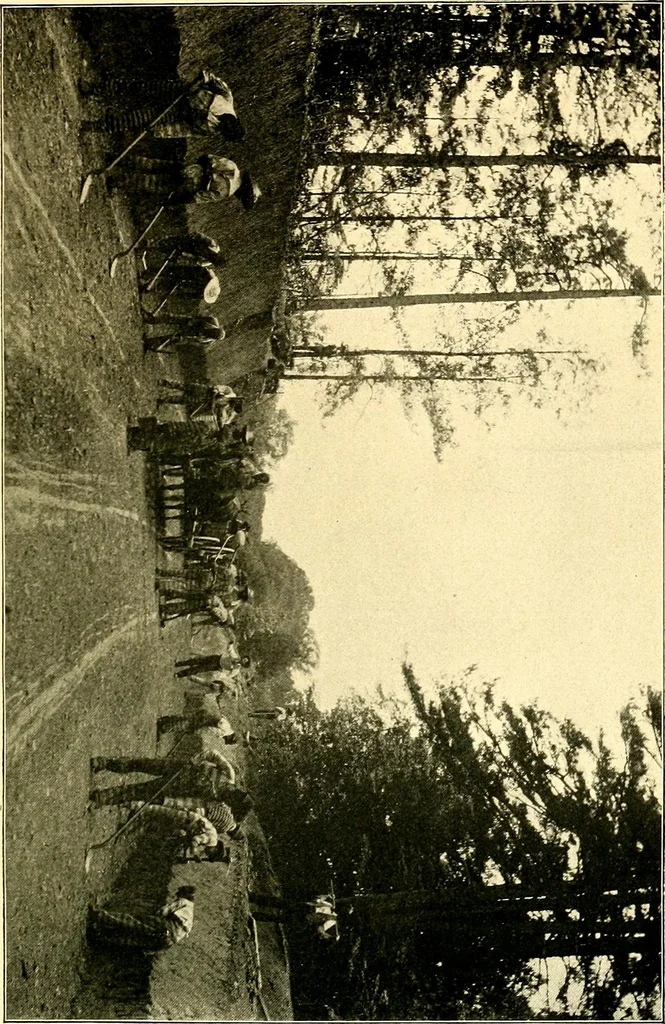 An illustration from Cotton mill, commercial features : a text-book for the use of textile schools and investors, 1899, leaf 256