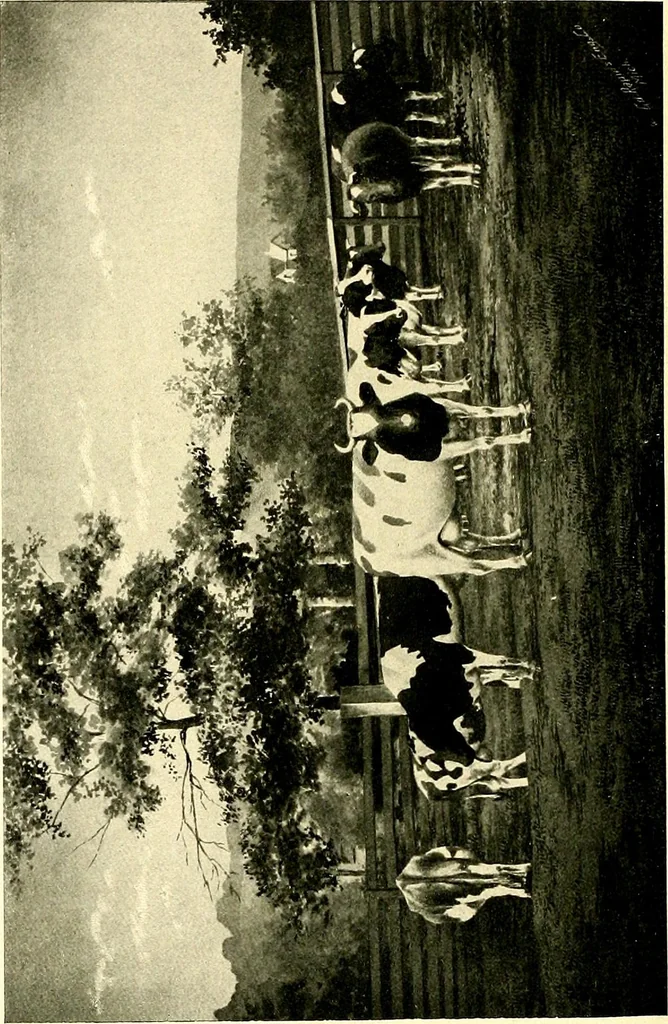 An illustration from Cotton mill, commercial features : a text-book for the use of textile schools and investors, 1899, leaf 287