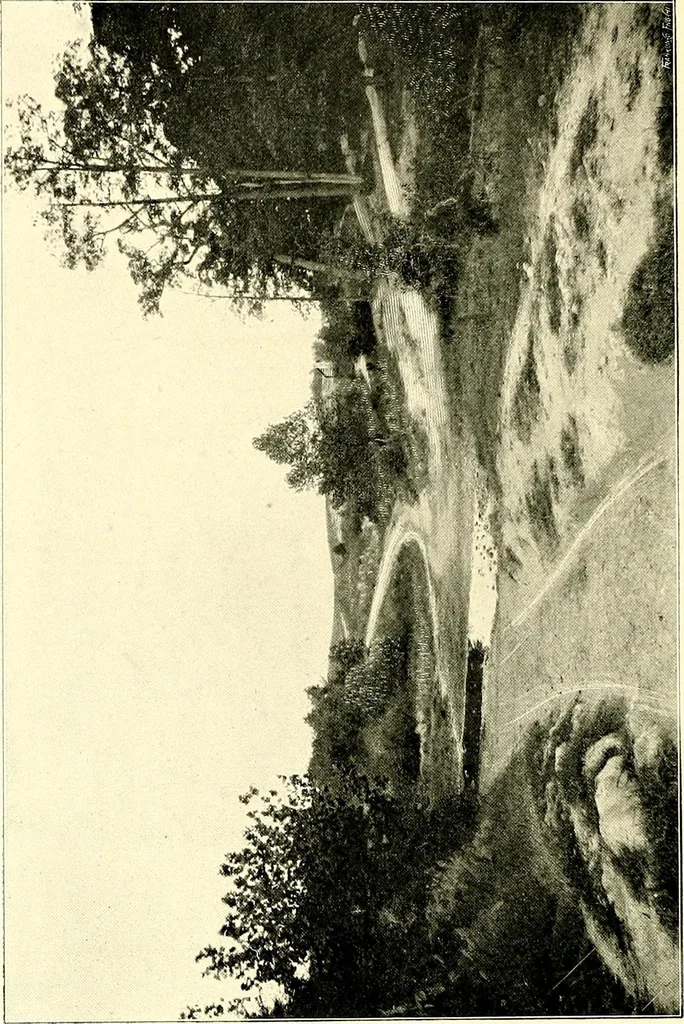 An illustration from Cotton mill, commercial features : a text-book for the use of textile schools and investors, 1899, leaf 45