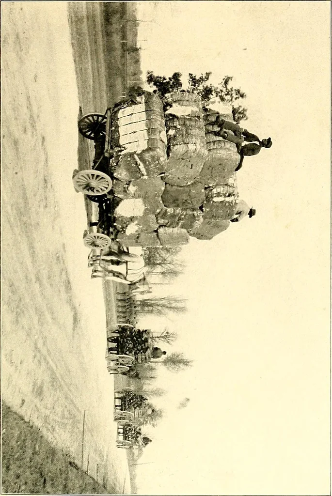 An illustration from Cotton mill, commercial features : a text-book for the use of textile schools and investors, 1899, leaf 46