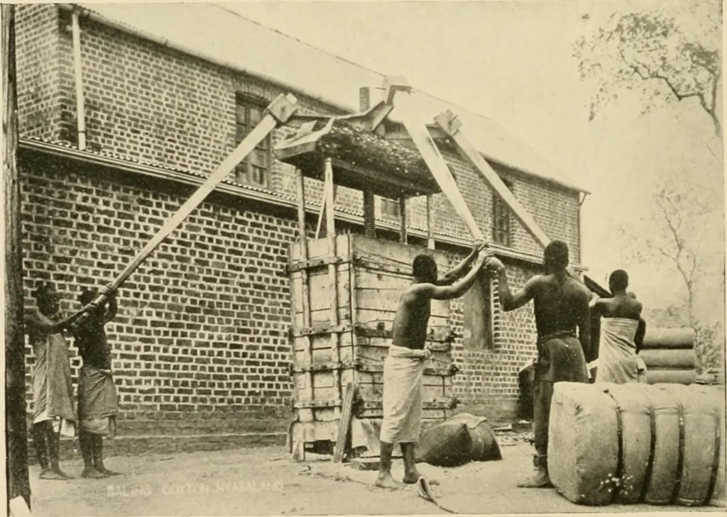 An illustration from Cotton and other vegetable fibres : their production and utilisation, 1917, leaf 113