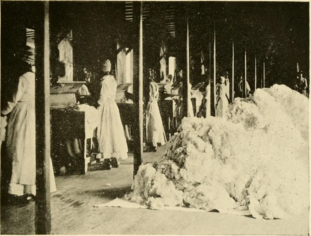 An illustration from Cotton and other vegetable fibres : their production and utilisation, 1917, leaf 116