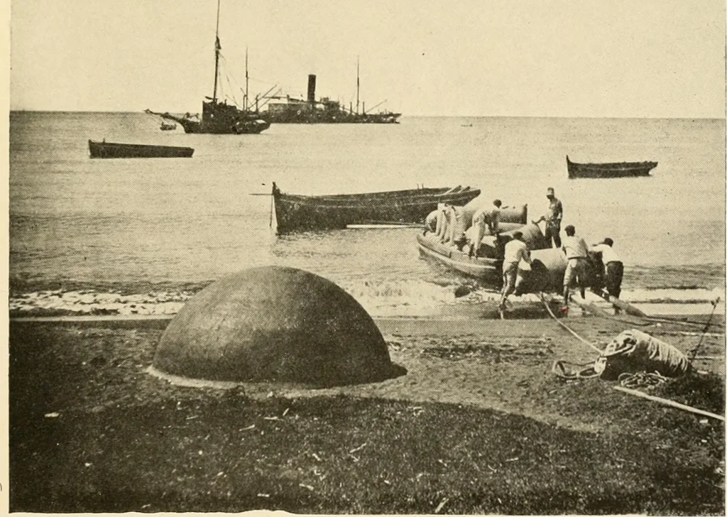 An illustration from Cotton and other vegetable fibres : their production and utilisation, 1917, leaf 116