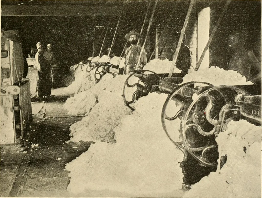 An illustration from Cotton and other vegetable fibres : their production and utilisation, 1917, leaf 62