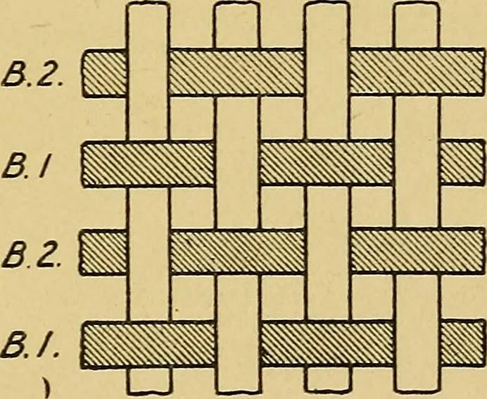 An illustration from Cottons, linens, woollens, silks. How to buy and judge materials. A useful guide with facts for warehouse, shop and home, 1914, leaf 44