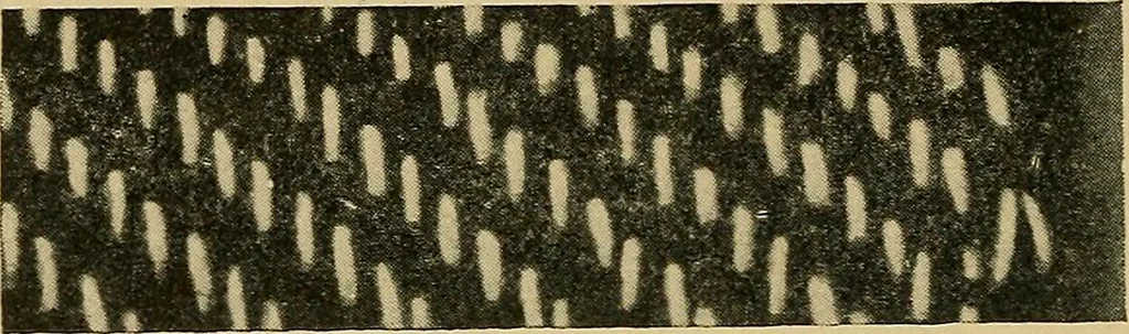 An illustration from Cottons, linens, woollens, silks. How to buy and judge materials. A useful guide with facts for warehouse, shop and home, 1914, leaf 49
