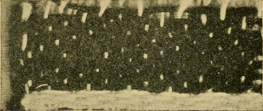 An illustration from Cottons, linens, woollens, silks. How to buy and judge materials. A useful guide with facts for warehouse, shop and home, 1914, leaf 50