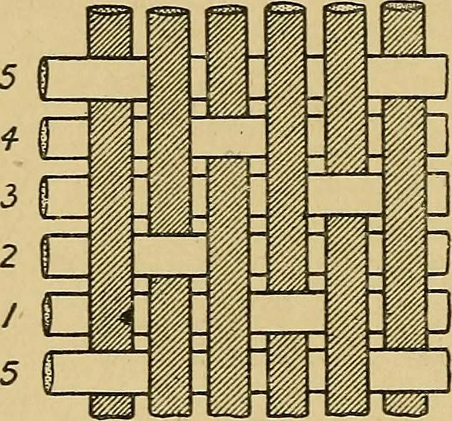 An illustration from Cottons, linens, woollens, silks. How to buy and judge materials. A useful guide with facts for warehouse, shop and home, 1914, leaf 51