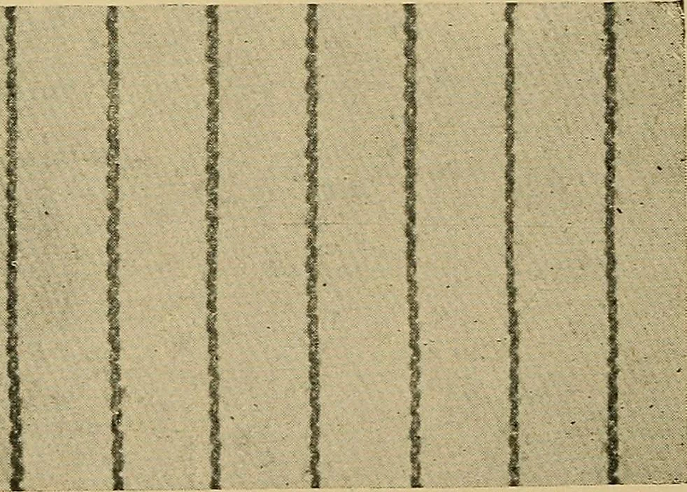 An illustration from Cottons, linens, woollens, silks. How to buy and judge materials. A useful guide with facts for warehouse, shop and home, 1914, leaf 55