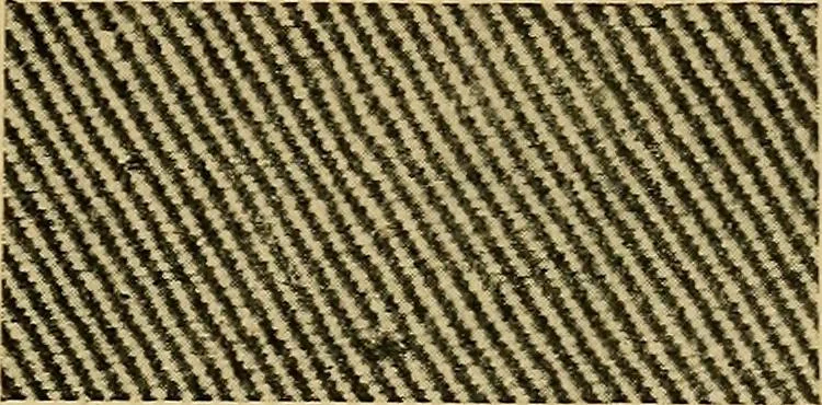 An illustration from Cottons, linens, woollens, silks. How to buy and judge materials. A useful guide with facts for warehouse, shop and home, 1914, leaf 56