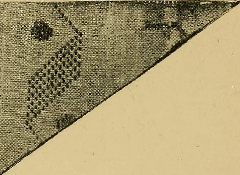 An illustration from Cottons, linens, woollens, silks. How to buy and judge materials. A useful guide with facts for warehouse, shop and home, 1914, leaf 57