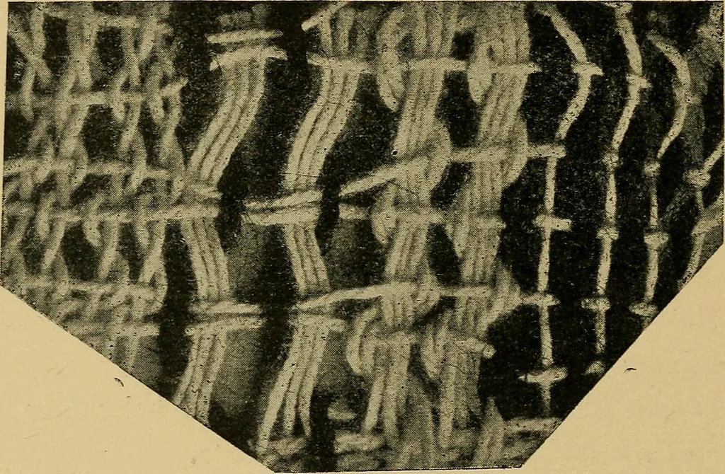An illustration from Cottons, linens, woollens, silks. How to buy and judge materials. A useful guide with facts for warehouse, shop and home, 1914, leaf 79